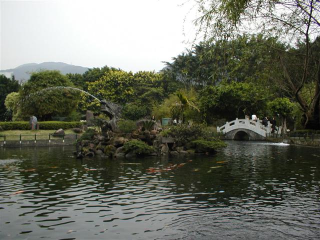The fish pond at the National Palace Museum